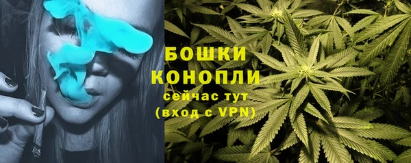 MESCALINE Карпинск