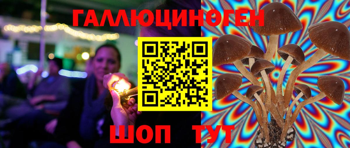 Псилоцибиновые грибы мицелий  Вход с VPN  Новочеркасск  Галлюциногенные грибы Psilocybine cubensis 